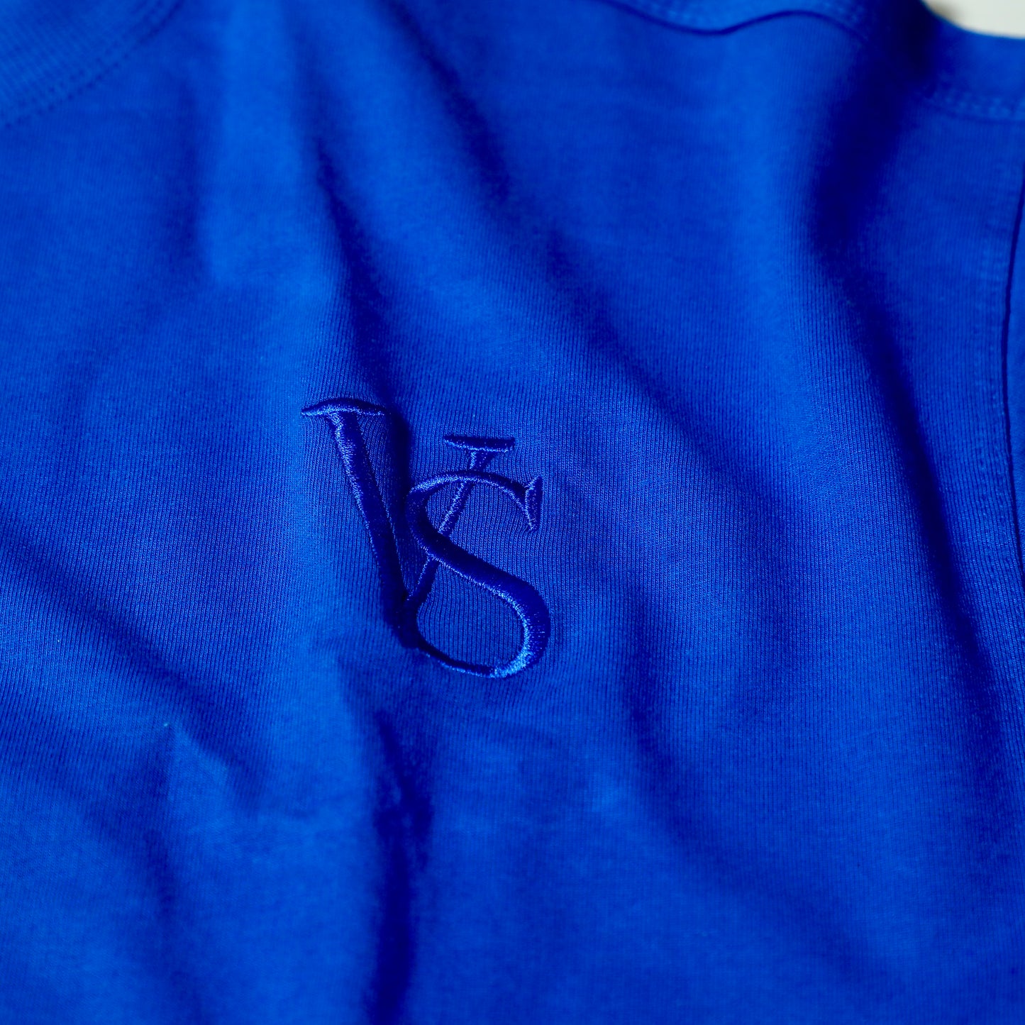 Dove Graphic Oversized T-Shirt